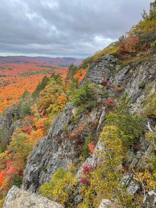 7 Creative Outdoor Activities to Celebrate Fall